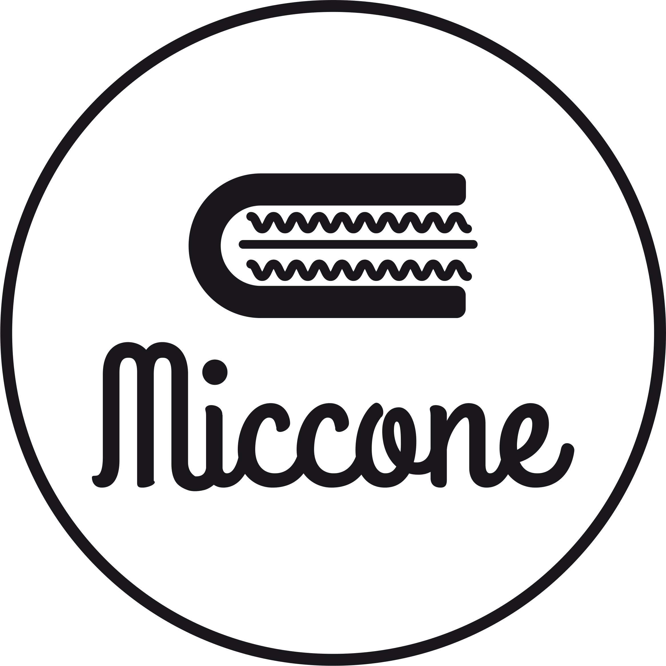 Miccone